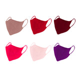 Assorted Petite KN95 Protective Mask Gift Box - Sakura Set (Pack of 12)