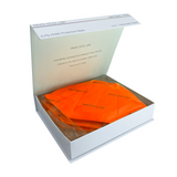 KN95 Protective Mask - Neon Series - Orange (Pack of 5)