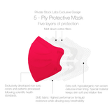 Assorted Petite KN95 Protective Mask Gift Box - Sakura Set (Pack of 12)